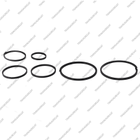 Комплект уплотнительных колец (6шт.)