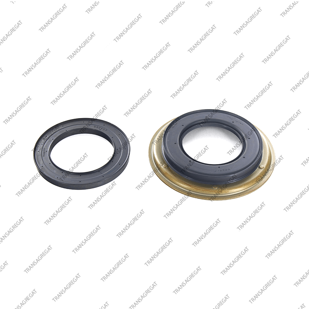 Комплект поршней (2шт., обрезиненные, тип 1, Audi)