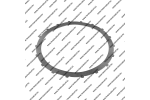 Пружинный диск 3-5/Reverse (171x1.4x18T)